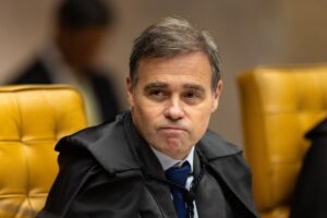 André Mendonça reforça dever dos municípios de proteger animais abandonados, decide STF